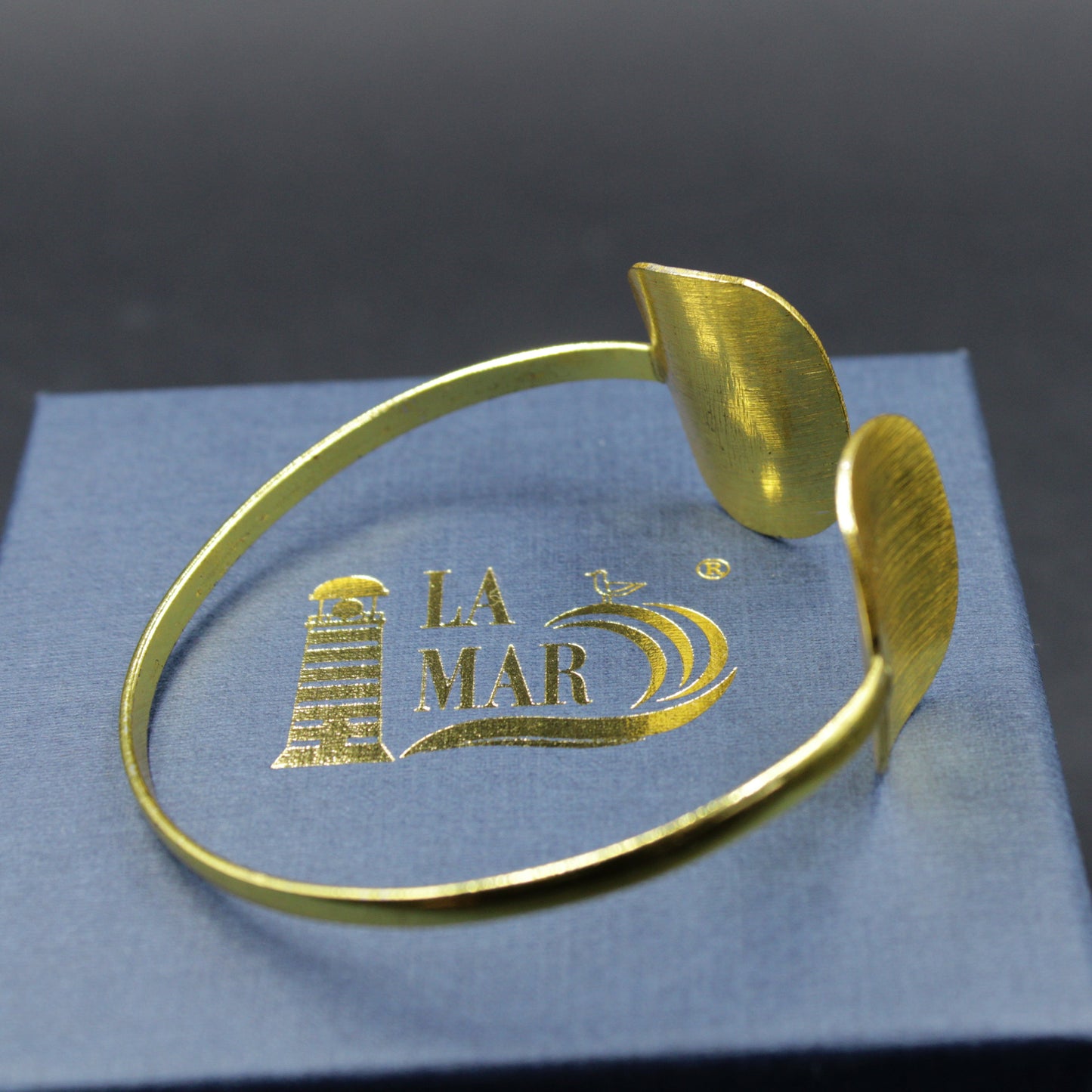 Brazalete Boîte - Bañada en oro